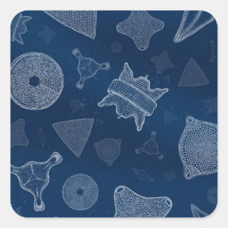 Adesivo Quadrado Diatomáceas - vida microscópica do mar