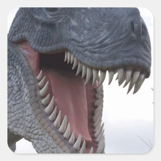 Adesivo Quadrado Dinossauros com dentes grandes (Frente)