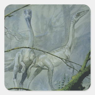 Adesivo Quadrado Dinossauros Vintage, Megapnosaurus também conhecid