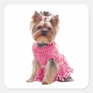 Adesivo Quadrado Divina cachorrinha Yorkshire Terrier Yorkie fofa
