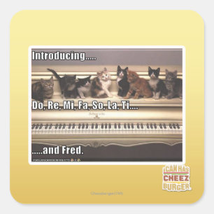 Adesivo Quadrado Do, Re, Mi, Fa, La, Ti, Fred