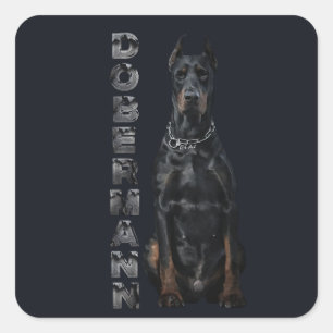 Adesivo Quadrado Doberman Pinscher