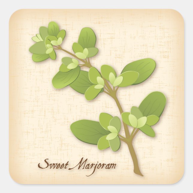 Adesivo Quadrado Doce Marjoram Herb Square Sticker (Frente)