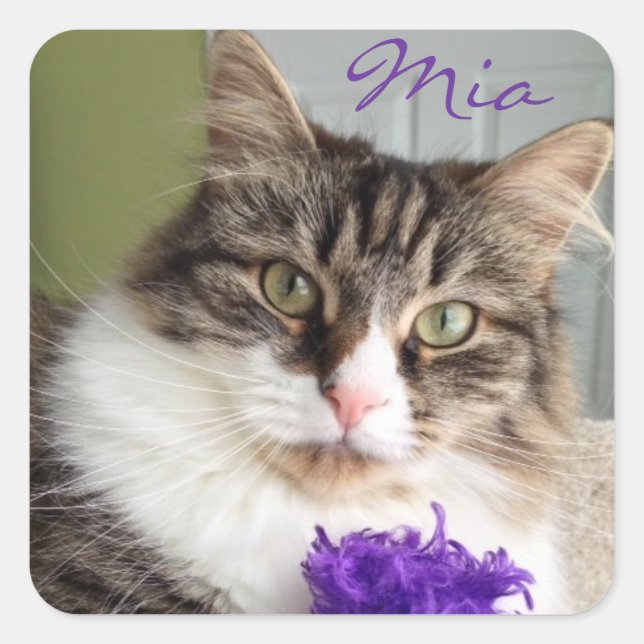 Adesivo Quadrado Doce Mia Sticker (Frente)