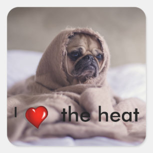 Adesivo Quadrado Doggy engraçado