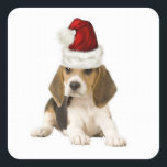 Adesivo Quadrado Dogs~Original Ditzy Sticker~Beagle~Christmas<br><div class="desc">Dogs~Original Ditzy Sticker~Beagle~Christmas</div>