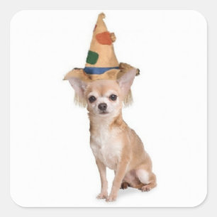 Adesivo Quadrado Dogs~Original Ditzy Sticker~Chihuahua~Halloween