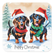 Dois Filhotes de Dachshund Fofos Cachorro Natal