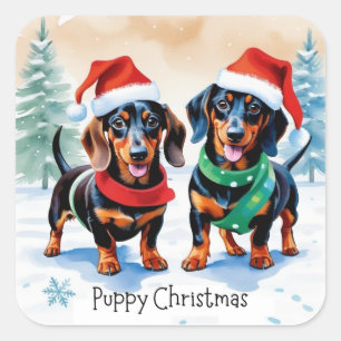 Adesivo Quadrado Dois Filhotes de Dachshund Fofos Cachorro Natal