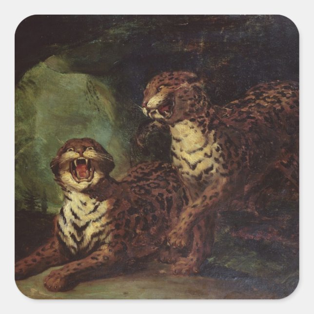 Adesivo Quadrado Dois Leopardos, c. 1820 (Frente)