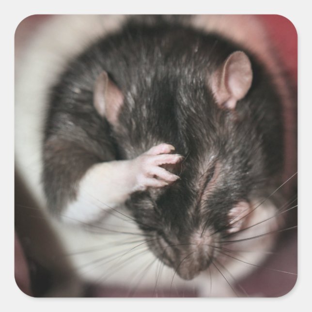 Adesivo Quadrado Dor de cabeça! (Frente)