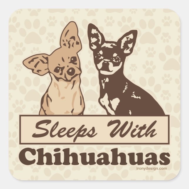 Adesivo Quadrado Dorme com Chihuahuas (Frente)
