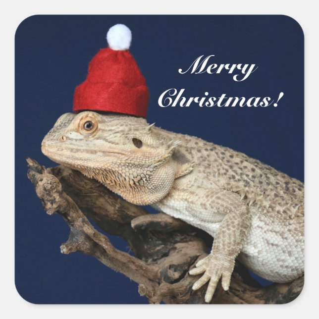 Adesivo Quadrado Dragão Carborado Personalizado Lizard - Santa Chap (Frente)