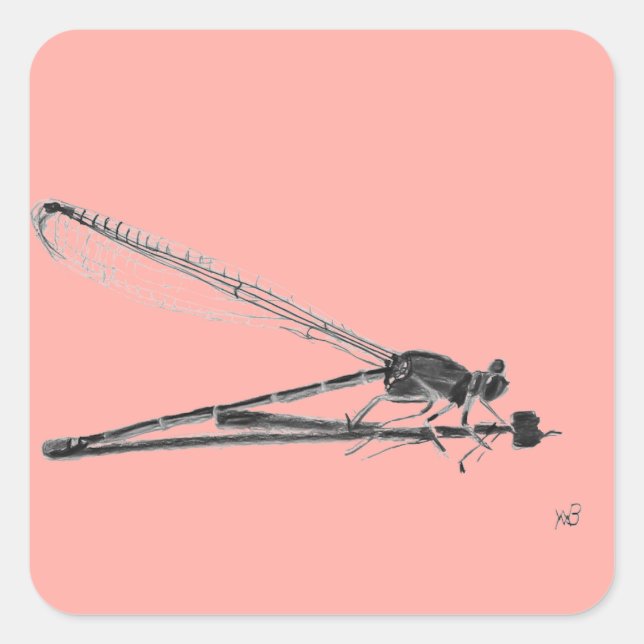 Adesivo Quadrado Dragon Fly (Frente)