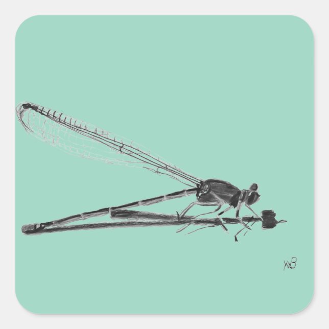 Adesivo Quadrado Dragon Fly (Frente)