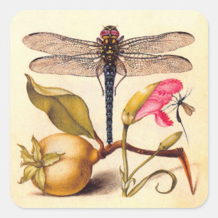 Adesivo Quadrado Dragonfly, Pear, Cravo e Insetos