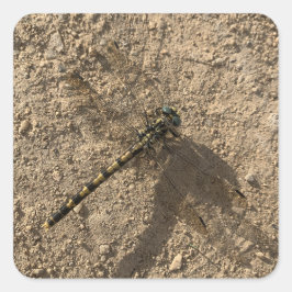 Adesivo Quadrado Dragonfly Sticker