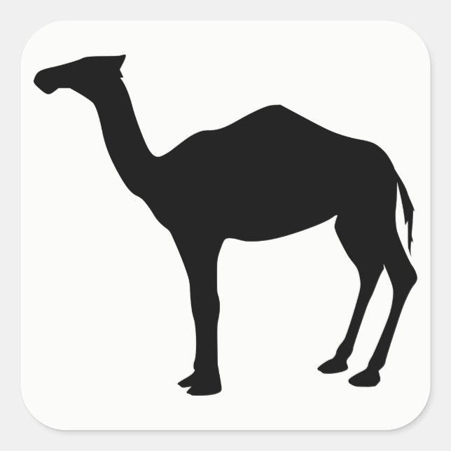 Adesivo Quadrado Dromedary Silhouette (Frente)