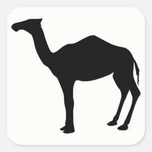 Adesivo Quadrado Dromedary Silhouette