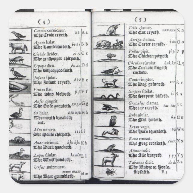 Adesivo Quadrado Duas páginas de 'Orbis Sensualium Pictus' (Frente)