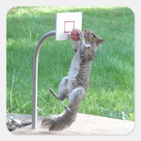 Duna de Slam de Esquilo