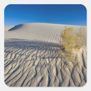Adesivo Quadrado Dunas de areia no Monumento Nacional das areias Br