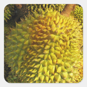 Adesivo Quadrado Durian Fruta