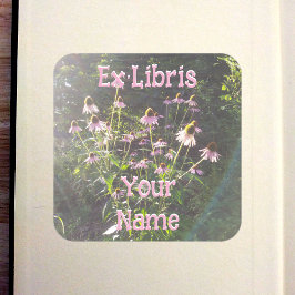 Adesivo Quadrado Echinacea Flowers in the Sun Bookplate