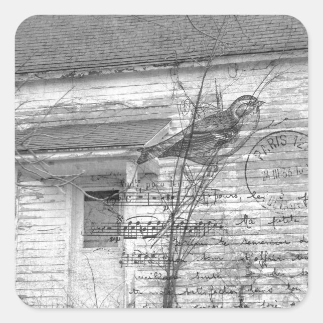 Adesivo Quadrado Edição Abandonada de Música House Bird (Frente)