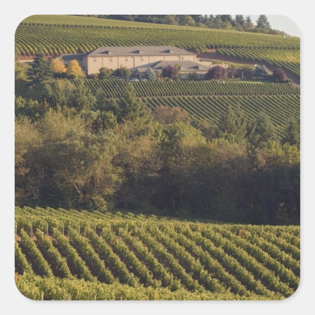 Adesivo Quadrado Edifício de bronzeamento da Archery Summit em cima (Frente)