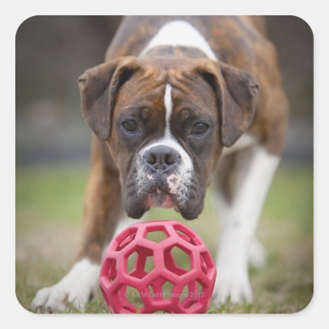 Adesivo Quadrado edmonton alberta canada (Frente)