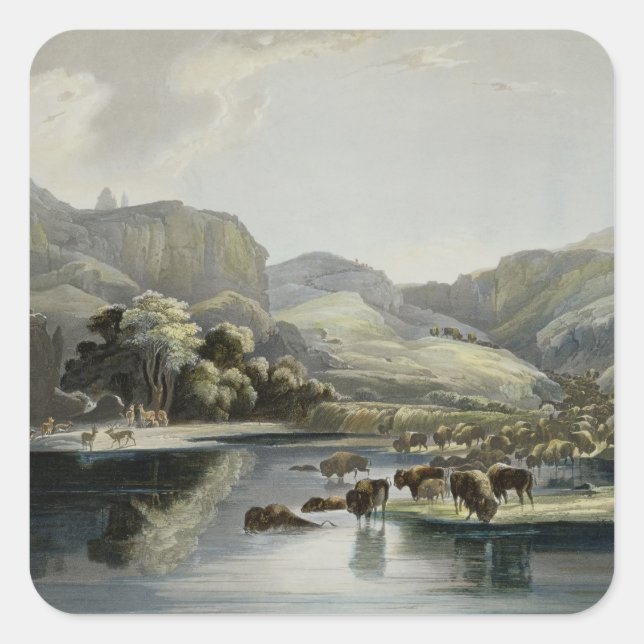 Adesivo Quadrado Efetivos de Bison e Elk no Alto Missouri, plat (Frente)