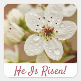 Adesivo Quadrado "Ele Está Risen!" Domingo de ressurreição