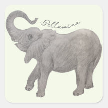 Elefante Bebê Com Texto