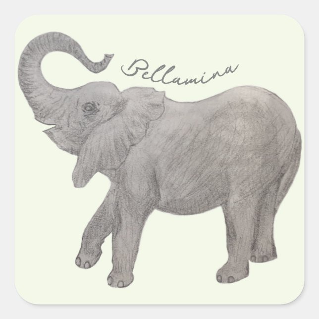 Adesivo Quadrado Elefante Bebê Com Texto (Frente)