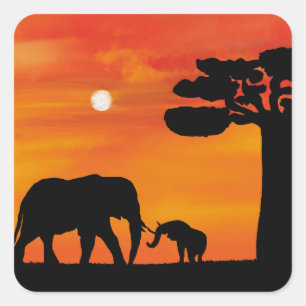 Adesivo Quadrado elefante, ,céu ,animais ,nascer do sol ,natureza ,