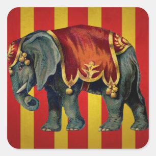 Adesivo Quadrado elefante vintage circus