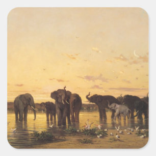 Adesivo Quadrado Elefantes Africanos