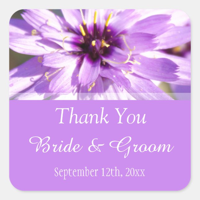 Adesivo Quadrado Elegante, bonito margarida roxa obrigado você (Frente)