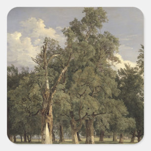 Adesivo Quadrado Elm tree in Prater, 1831