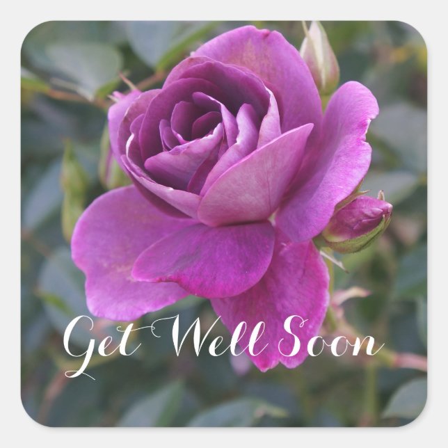 Adesivo Quadrado Em Breve, Burgundy Iceberg 2 Stickers (Frente)