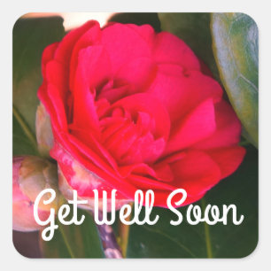 Adesivo Quadrado Em Breve, Red Camellia Stickers