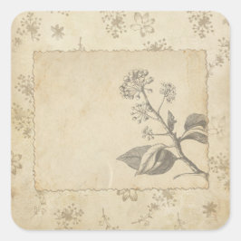 Adesivo Quadrado Embelagem de caixote do bico-de-vidro botânico esb