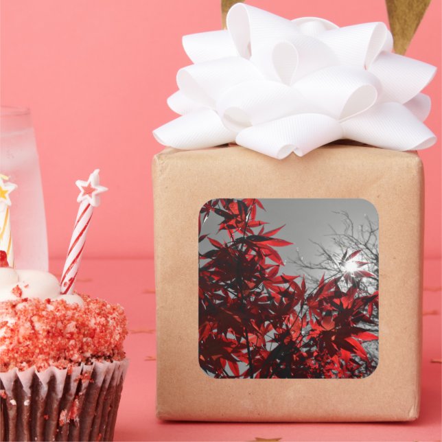 Adesivo Quadrado Embers of Autumn (Festa)