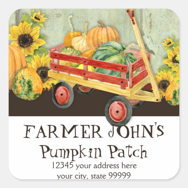 Adesivo Quadrado Empresas de Fazenda de Colheita de Abóbora de outo (Frente)