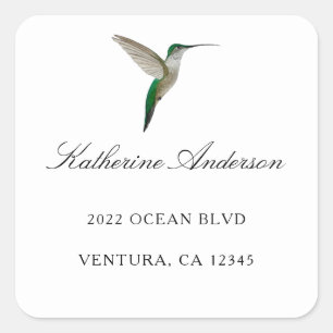 Adesivo Quadrado Endereço Elegante de Hummingbird