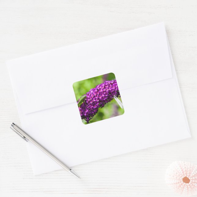 Adesivo Quadrado energia do grilo-katydid (Envelope)