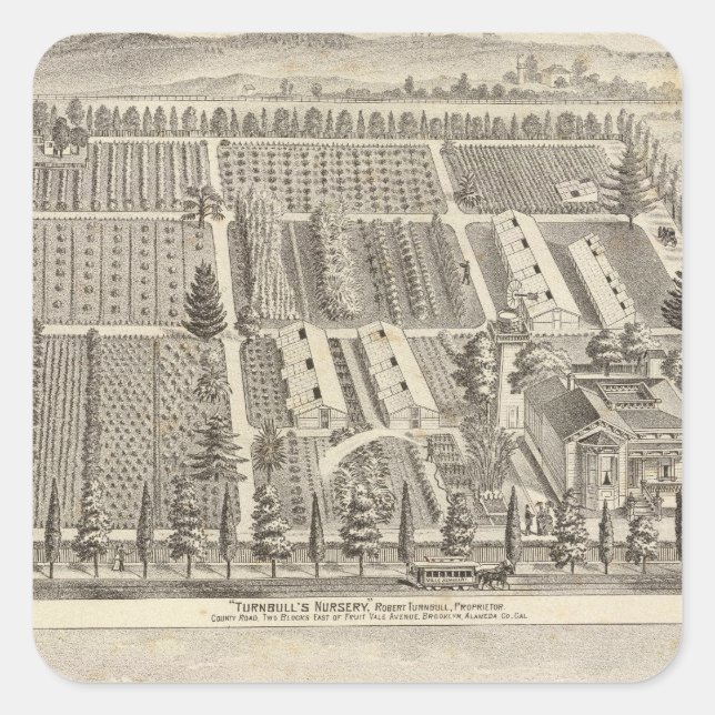 Adesivo Quadrado Enfermeiro de Turnbull, Fitch res (Frente)