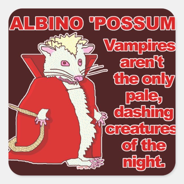 Adesivo Quadrado Engraçado Albino Possum Vampire Animal (Frente)