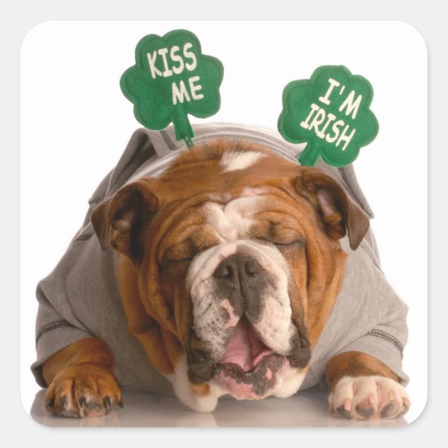 Adesivo Quadrado Engraçado de Cachorro (Frente)